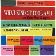 Sings What Kind Of Fool Am I And Other Show-stoppers