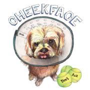 Capa do Single/EP "Don't Ask", de Cheekface