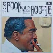 Spoon Calls Hootie