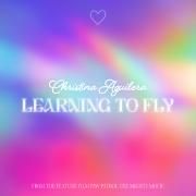 Learning To Fly}