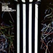 Near Infinite Possibility}