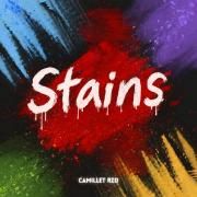 STAINS}