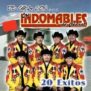 Capa do Álbum "20 Exitos", de Los Indomables de Cedral