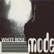 White Rose