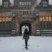 Fact of the Fiction}