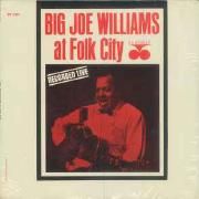 At Folk City