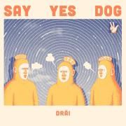 Capa do Álbum "DRÄI", de Say Yes Dog