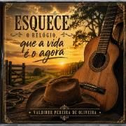 Capa do Álbum "Esquece o Relógio, Que a Vida É o Agora", de Valdiner Pereira