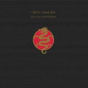 Samurai (Did You Ever Dream)}