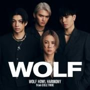 Capa do Álbum "WOLF", de Wolf Howl Harmony