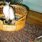 Capa do Álbum "premio castigo ", de Ataquemos