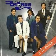 Capa do Álbum "A Su Salud", de Grupo Bryndis