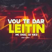 Vou Te Dar Leitin 