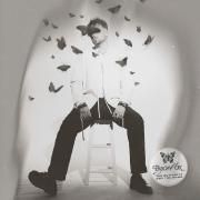 Capa do Álbum "The Butterfly and the Bomb", de Bryce Fox