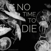 No Time to Die