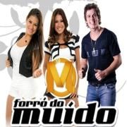 Vol. 8 (Ao Vivo No Kangalha)}