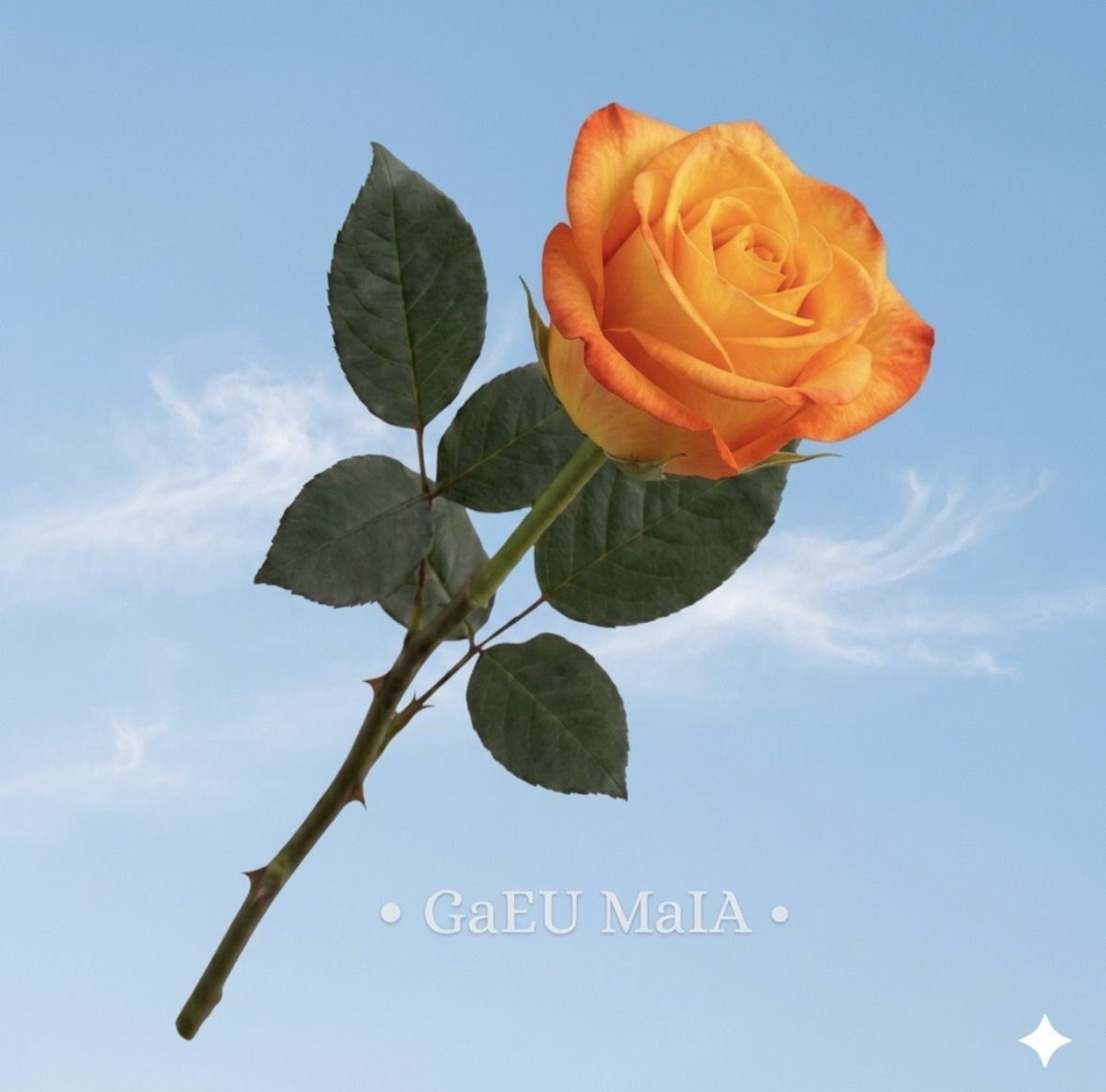Capa do álbum "SOLaridade", de Gael Maia