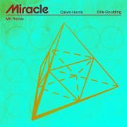 Miracle (with Ellie Goulding) [MK Remix]