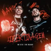Libertinagem (part. MC G15)}
