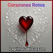 Lágrimas Del Corazón