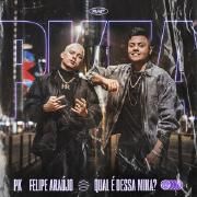 Qual É Dessa Mina? (part. Pk)}