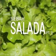 Salada, Pt. 2}
