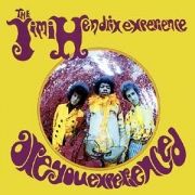 Are You Experienced?}