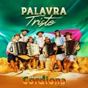 Palavra Triste }