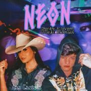 Neon (Funk Remix) (part. Davi Kneip)}