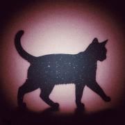 Capa do Álbum "the finer spirit", de Joel Trapp