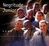 Para Sempre: Negritude Junior}