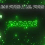 Jacaré