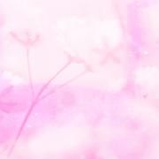 ふわ輪}