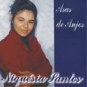 Asas de Anjos