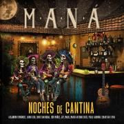 Noches de Cantina