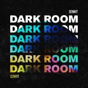 Dark Room}