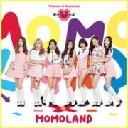 Welcome To Momoland