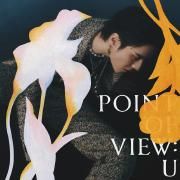 Point Of View: U}