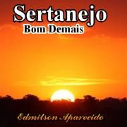 Sertanejo Bom Demais