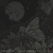 Truth Inside the Shades 2020}