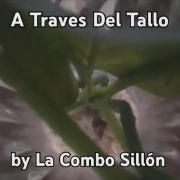  A Través Del Tallo