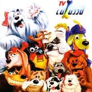 TV Colosso