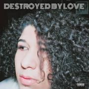 Destroyed By Love 