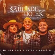 Saudade Do Ex (part. MC Don Juan)}