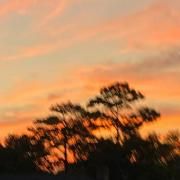 good at causing pain}