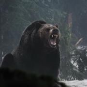 Griselda Freestyle (part. L.A)}