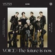 VOICE : The future is now}