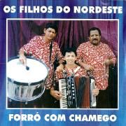 Forró Com Chamego