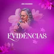 Evidências 