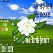 Flor de Jasmim (part. neoexe)}